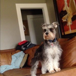 Meet your Posher, West